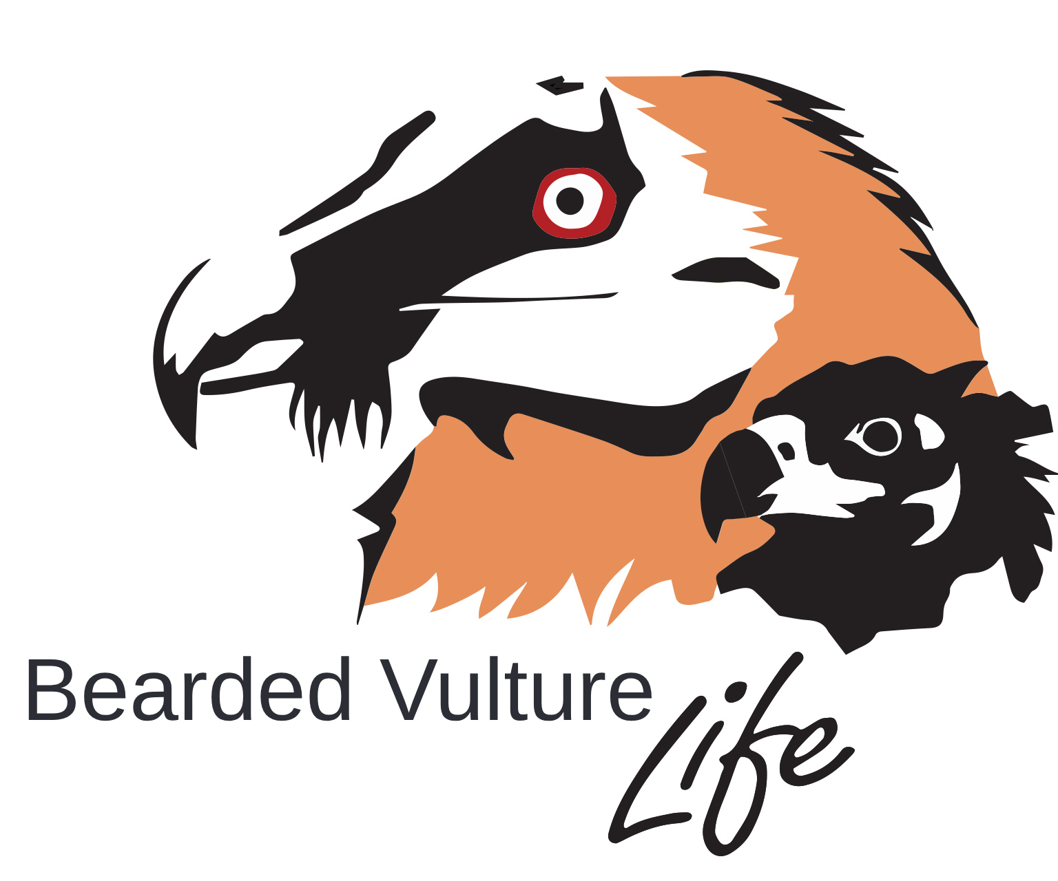 Bearded Vulture LIFE - project logo