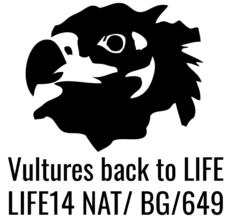 Bright Future for Black Vulture in Bulgaria (2015-2022) - Project Logo